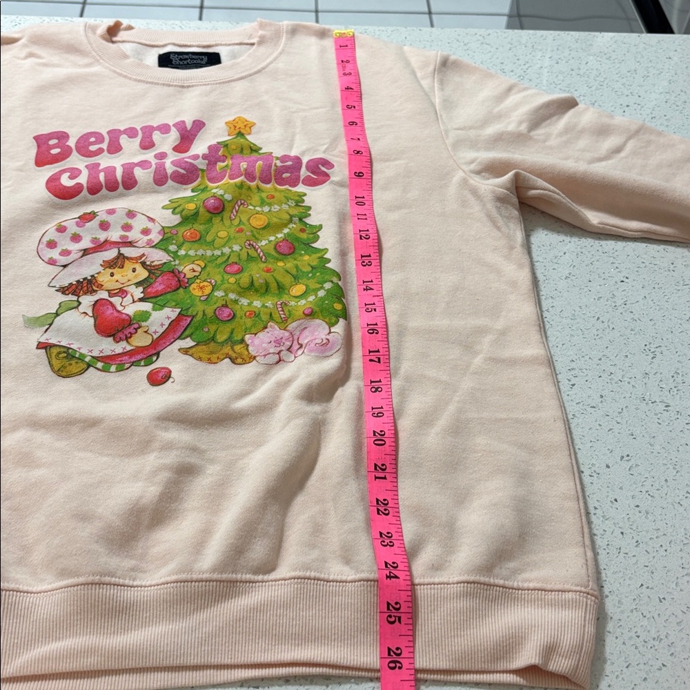 Strawberry Shortcake Berry Christmas Pink Crew Neck Soft Pastel Size M Graphic - Picture 9 of 10